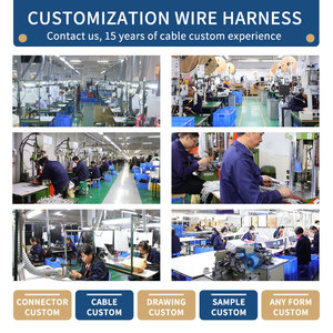 Factory Custom DB15 Coiled <strong>Cable</strong> Male to Usb DC 5525 Spring Spiral <strong>Cable</strong> Assembly Wire Harness Manufacturer - Product Image 6