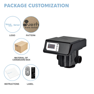 Válvula de control de tratamiento de purificador de agua automático de alto flujo industrial, válvulas de filtro de agua de 10 T/H, 2 unidades - Product Image 4
