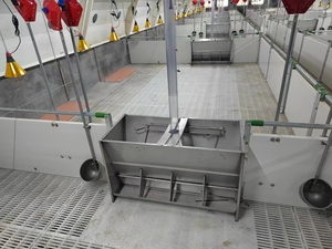 3 * 4m美欧型猪育肥笼带喂料线和饮水线定制尺寸铁或钢管可供选择 - Product Image 2