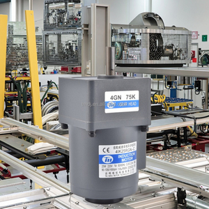 High Efficiency 220V 25W Single-Phase 1800 <strong>RPM</strong> <strong>Motor</strong> 75K Enclosed Damping <strong>Geared</strong> <strong>Motor</strong> for Various