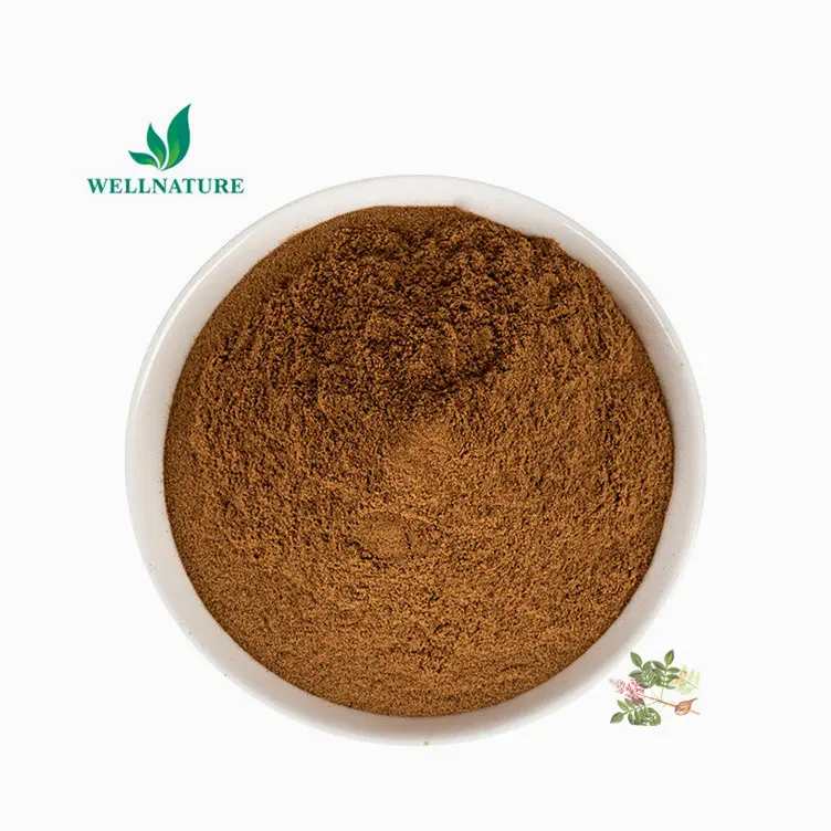 Heiß verkaufendes Tannin pulver Galla Chinensis Extrakt 10:1 Gallnut Extrakt