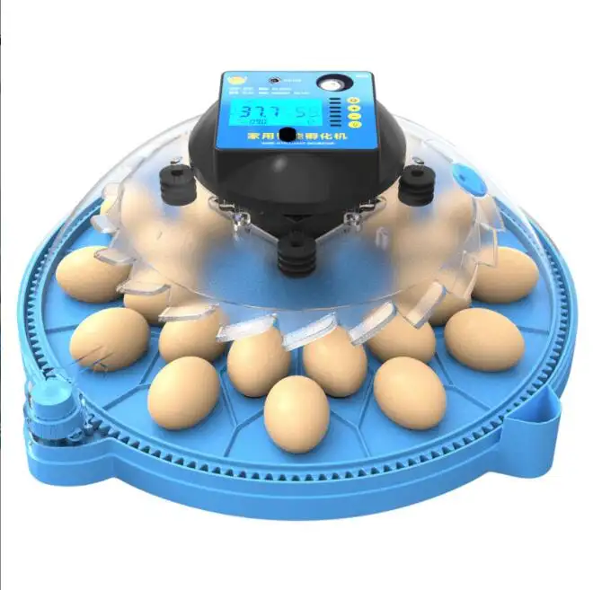 Incubadora automática de huevos de gallina, platillo volador inteligente, para loros, aves, huevos