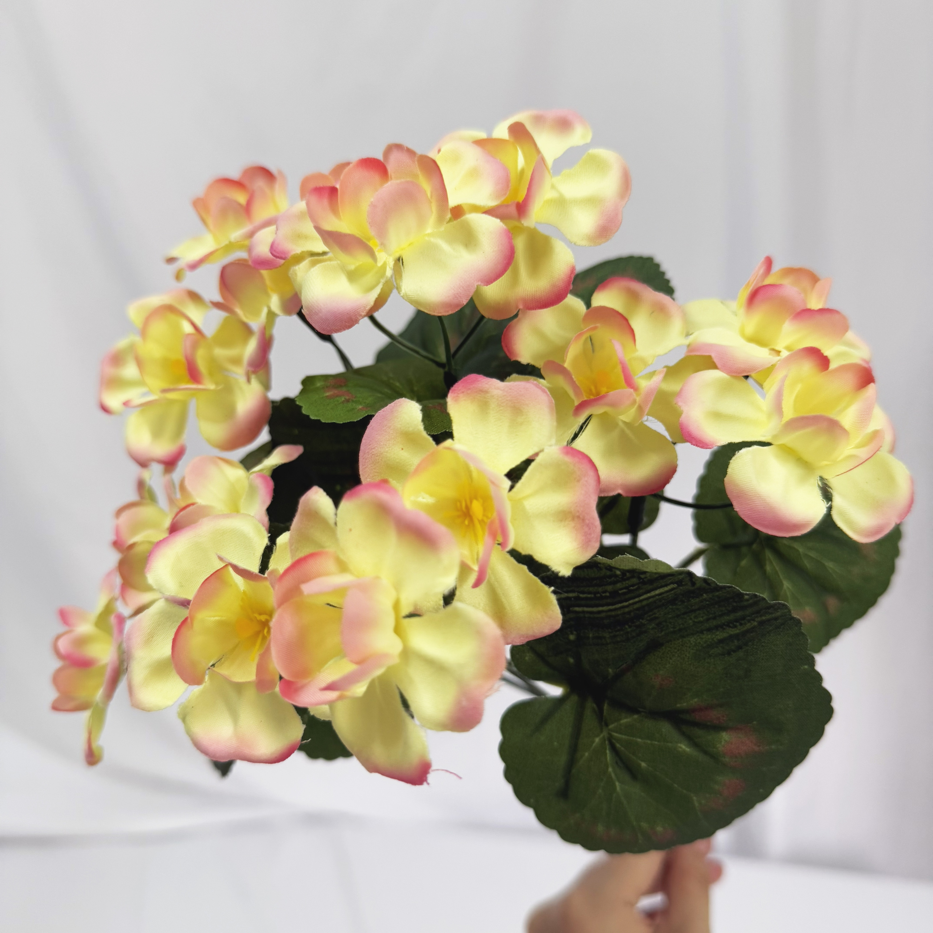 Light Yellow