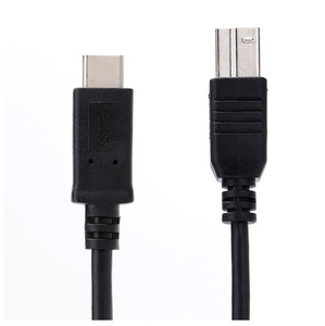 USB 3.1タイプC USB-CコネクタUSB標準B男性データケーブル - Product Image 3