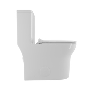 DB 1.1/1.6 GPF konfor yüksekliği zemin üstü tek parça tuvalet seramik beyaz CUPC & WaterSense sertifikalı - Product Image 5