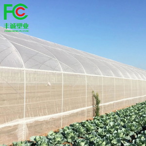 Transparent Agricultural Anti-Insects <strong>Nets</strong>, Hdpe Clear Insect Proof Mesh Orchard <strong>Cover</strong> Fruit <strong>Tree</strong> Protection <strong>Net</strong> - Product Image 5