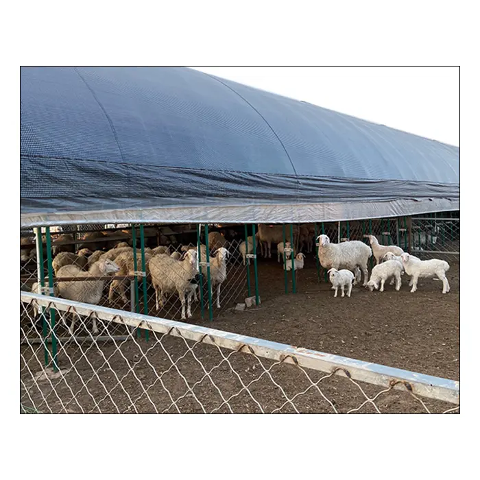 Capannone agricolo prefabbricato della stalla delle pecore della casa delle capre della struttura d'acciaio