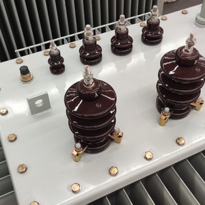S13 Series Energy-Saving High-Power Three-Phase Oil-Immerse <strong>Transformer</strong> 50Hz Frequency 36V <strong>Output</strong> Voltage 6KV <strong>Input</strong> Voltage - Product Image 3
