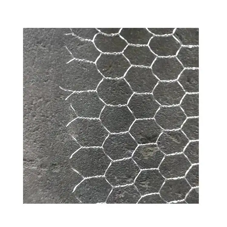 Treillis métallique néerlandais en acier inoxydable le plus vendu clôturant la fabrication de fil treillis métallique hexagonal galvanisé