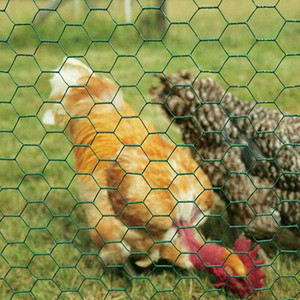 Sechseckige Löcher Draht geflecht Single Double Twisted Green PVC-beschichtetes Hühnern etz Hot Dip Galvani zed Field Farm Animal Fence - Product Image 1