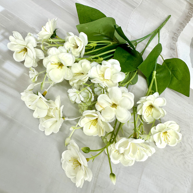 Blanc