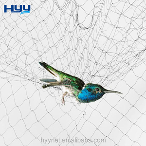 Plastic Nylon <strong>Bird</strong> <strong>Net</strong> HDPE <strong>Anti</strong>-<strong>bird</strong> <strong>Net</strong> Uv Stabilized <strong>Bird</strong> <strong>Net</strong> for Garden Protection and Agriculture - Product Image 1