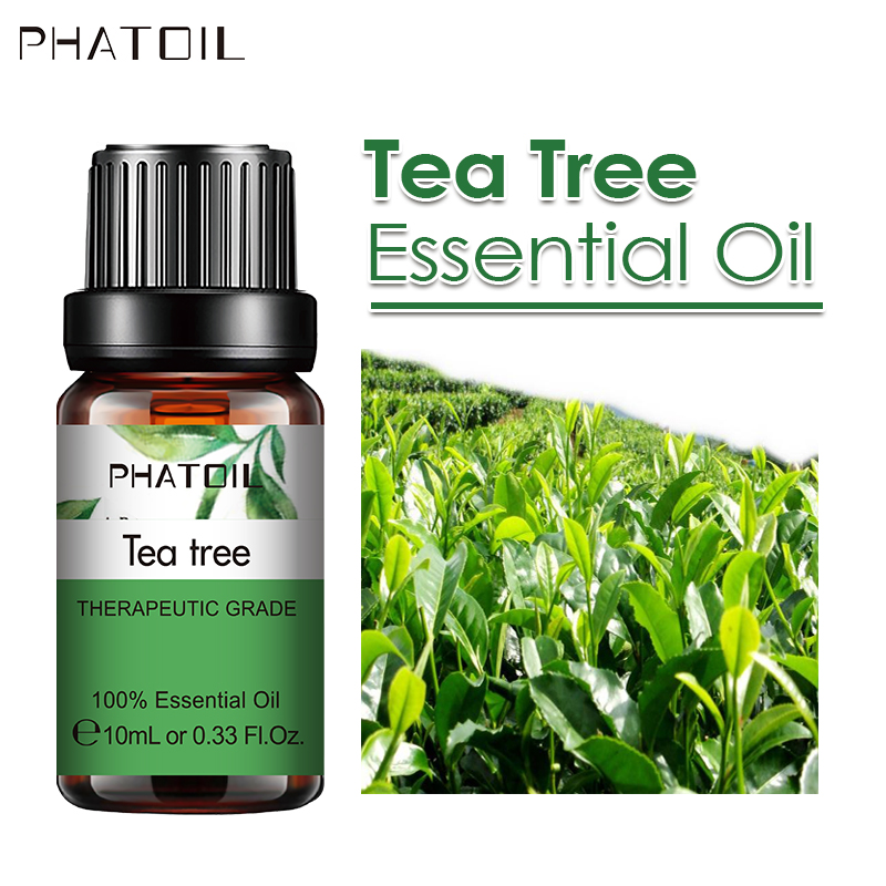 Árbol de SY5522-13Tea