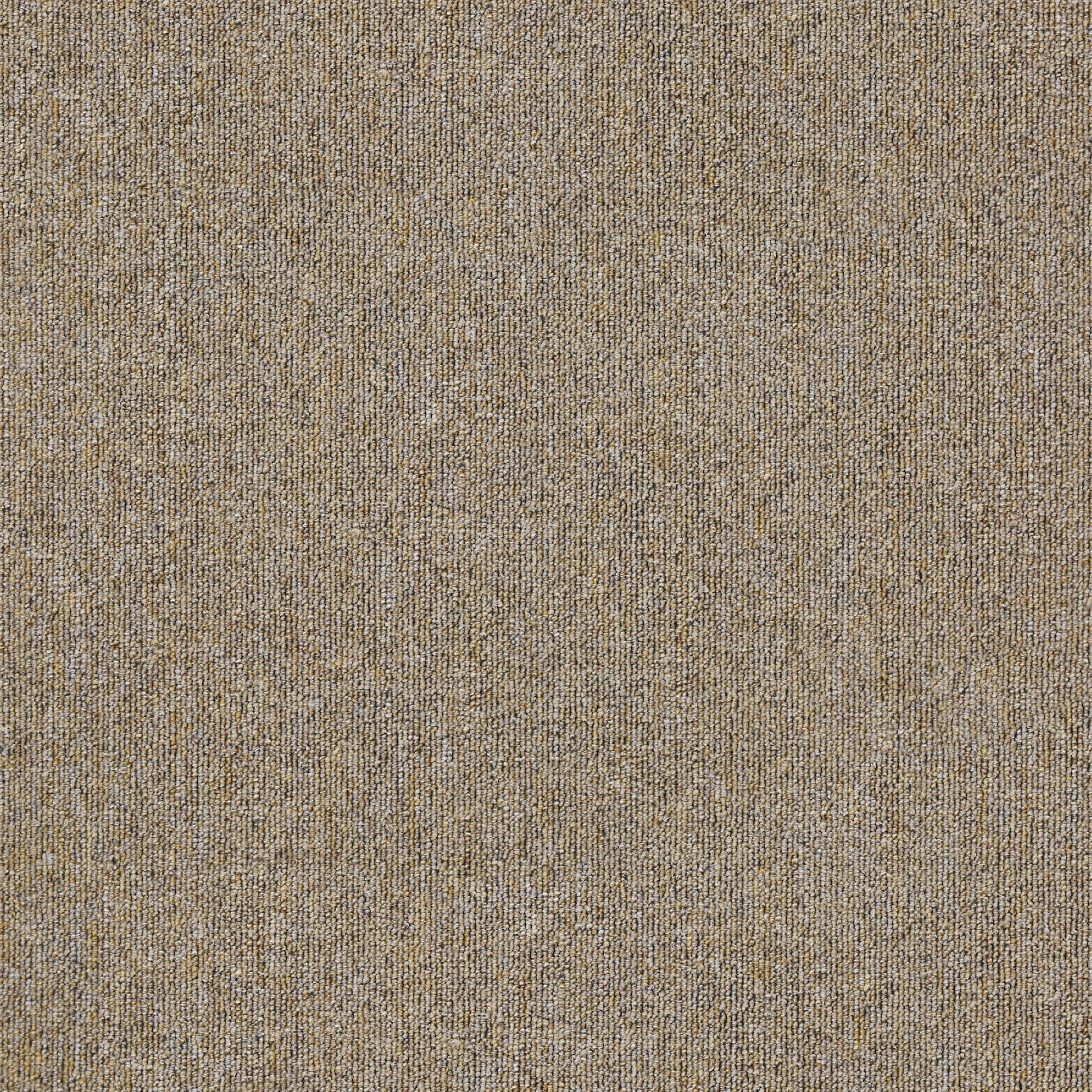 MDL05