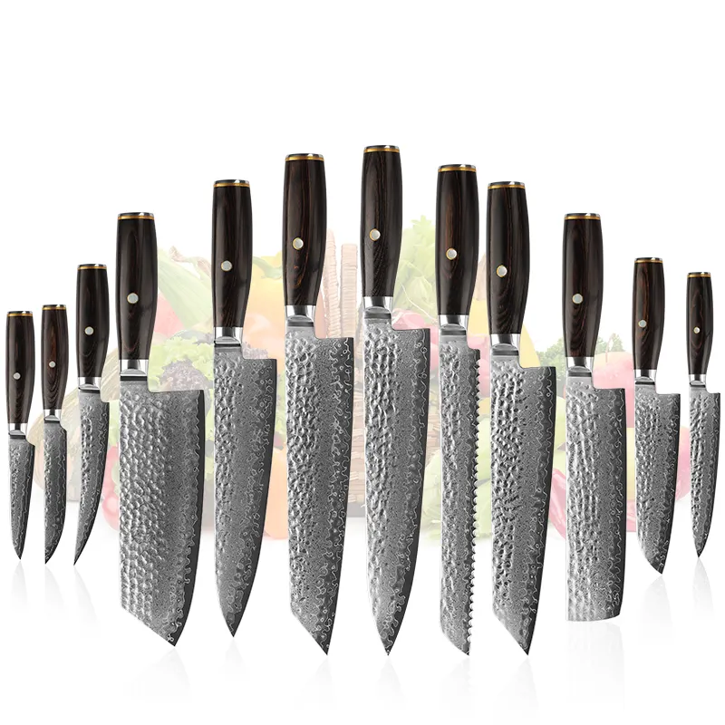 Ensemble de couteaux de Chef en acier Vg-10 damas de luxe 12 pièces avec manche en bois de sycomore figuré 67 couches couteaux de Chef de cuisine