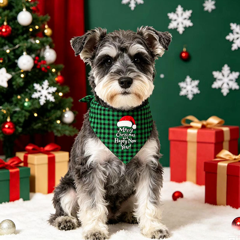 Style de Noël B