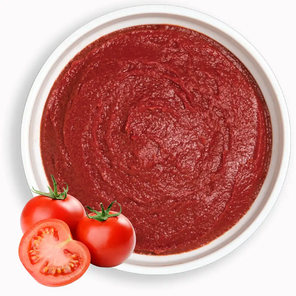 Vendita calda Ketchup di pomodoro naturale fresco utilizzato per seanoning