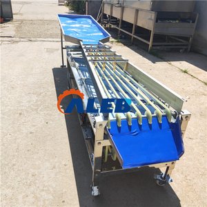 Máquina clasificadora de frutas y verduras comercial de alta eficiencia Máquina clasificadora de frutas vegetales de gran capacidad - Product Image 6