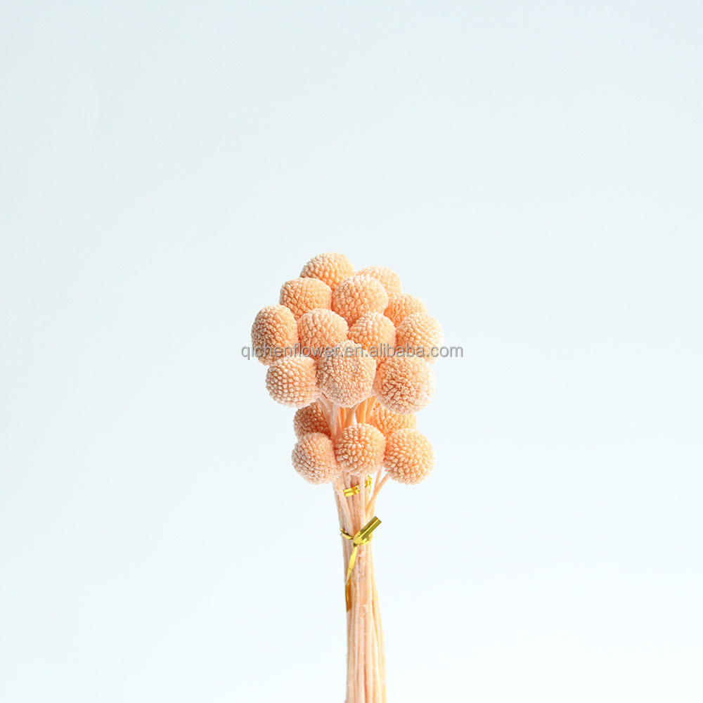Champagne