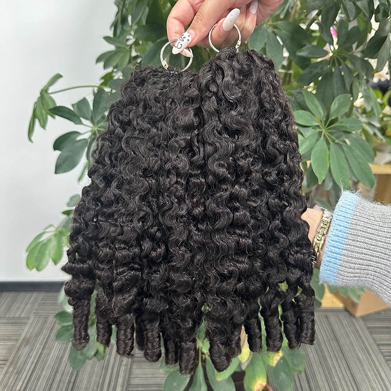 Burmese curl