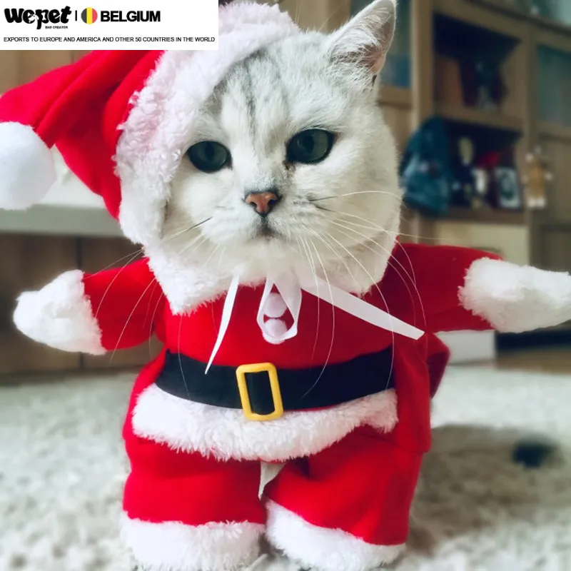 Disfraces de invierno para gatos y mascotas, ropa divertida de Papá Noel para gatos pequeños, para Año Nuevo