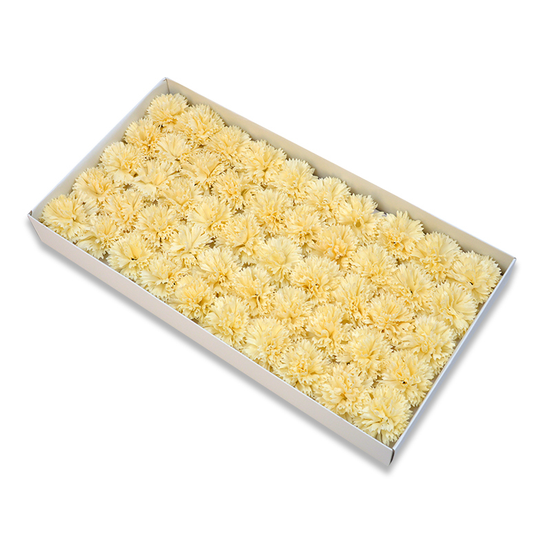 Oro champaña