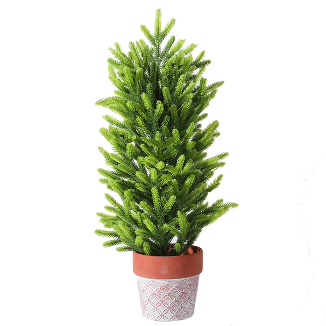 50cm