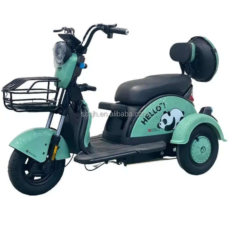 Tricycle électrique BPA-5 48V 800W pour adultes Tricycles électriques habités avec véhicule électrique à 3 roues à corps ouvert