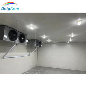Walk-in <strong>Blast</strong> Freezer and Chiller for Chicken and Frozen Meat Storage Cool Room Cold Storage - Product Image 6
