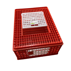 Canlı kümes hayvanları taşıma sandığı tavuk ördek plastik taşıma kafesi 10-12 yetişkin tavuk sürgülü erişim kapısı - Product Image 1