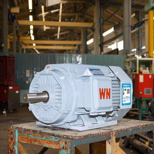 محرك غير متزامن ثلاثي الأطوار من سلسلة YE5 من شركة وانان الكهربائية الأكثر مبيعًا في الصناعة | ملف نحاسي كامل | مجموعة كاملة قابلة للتخصيص - Product Image 1