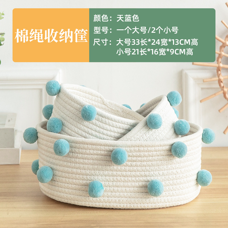 Light blue oval