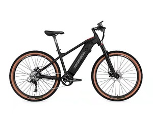 MTB電動27.529インチマウンテンバイク天津DAURADA 48V 350W 500W