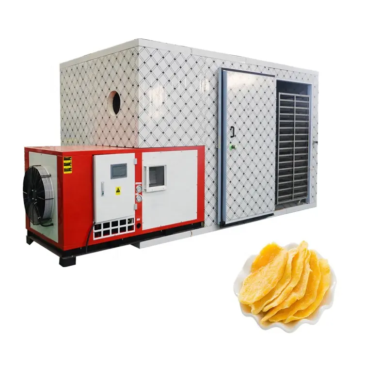 3000 Kg par lot Machine de séchage de fruits déshydratés pompe à chaleur sèche-nourriture mangue séchée fruits légumes Machine de séchage