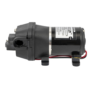 Lifesrc FL-30 12V 17psi 10lpm Mini yüksek basınçlı araba yıkama elektrikli su RO pompası