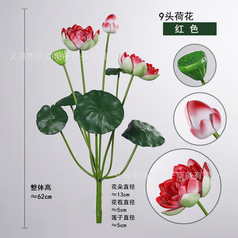 Un bouquet de neuf fleurs de lotus rouges.