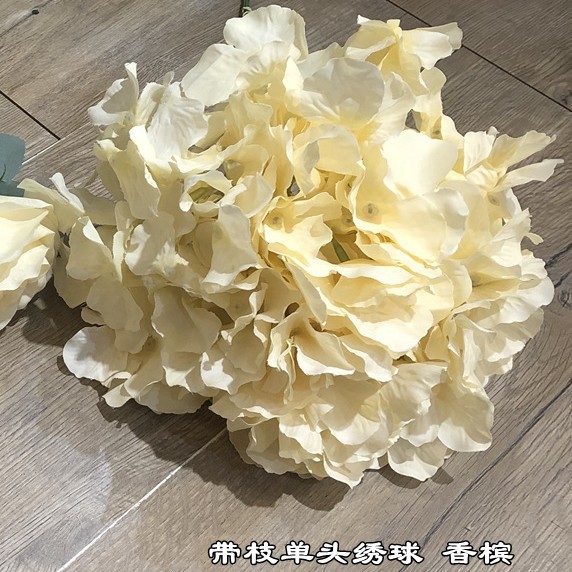 Single-headed hydrangea champagne with branches