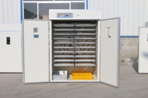HJ-I15市販卵インキュベーター自動設定3520鶏卵インキュベーター機 - Product Image 2