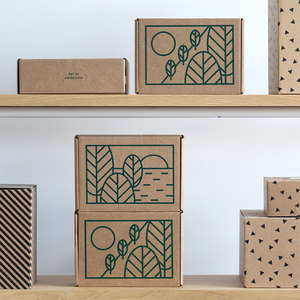 Long <strong>Plain</strong> Kraft Carton Cardboard Pet Carrier Cat <strong>Paper</strong> Wholesale Corrugated Box With Ribbon