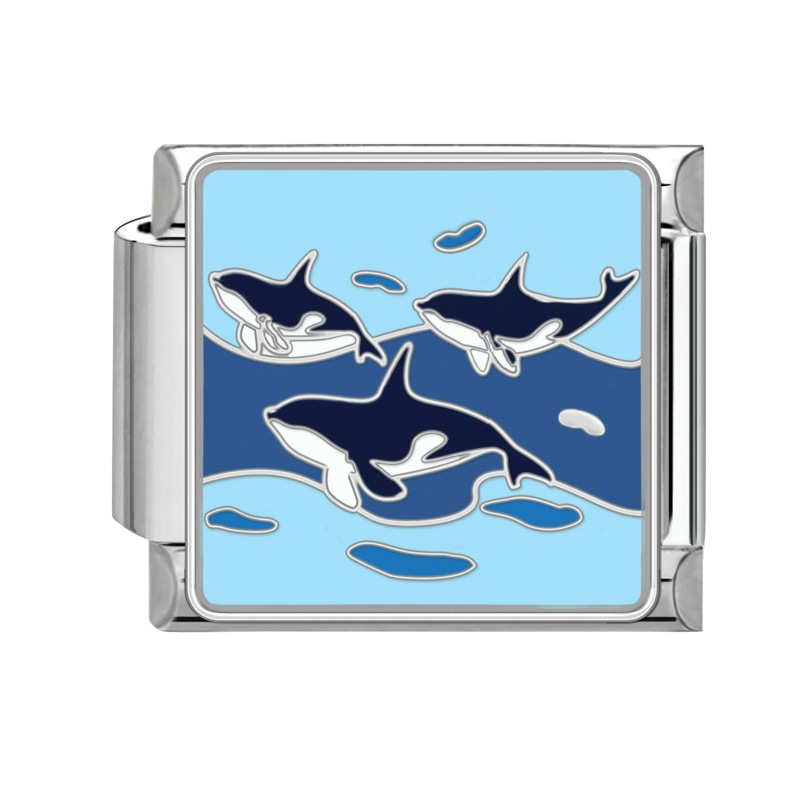 Dolphin Silver
