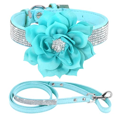 Blue Set