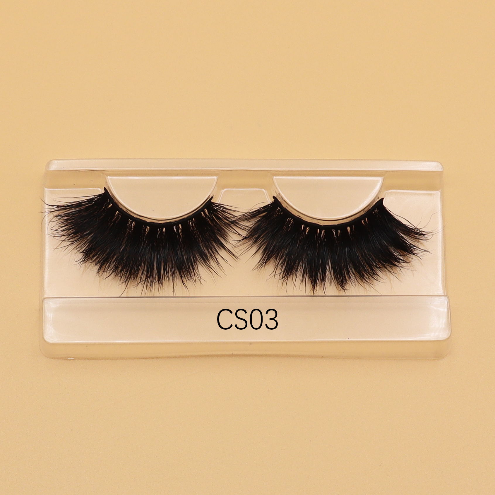 CS03