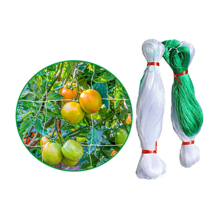 Clematis salatalık domates için güçlü destek 2x2 kafes net rulo 5x350/tırmanma tesisleri için kafes örgü - Product Image 1