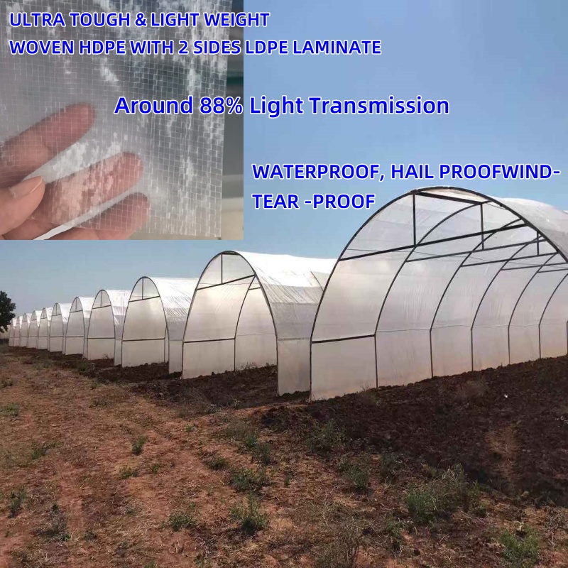 transparent