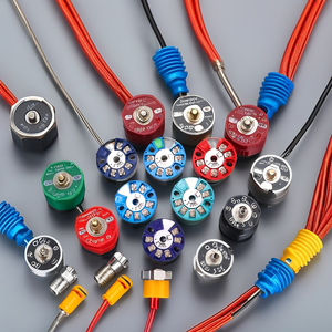 Stainless Steel PT100 TC Temperature Transmitter with Frequency <strong>Theory</strong> OEM &amp; ODM Supported Temperature Sensor Probe
