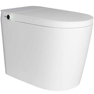 Factory Direct Smart <strong>Toilet</strong> with Advanced Features Floor Mounted Remote Control Seat Heating-<strong>Best</strong> New Design - Product Image 1