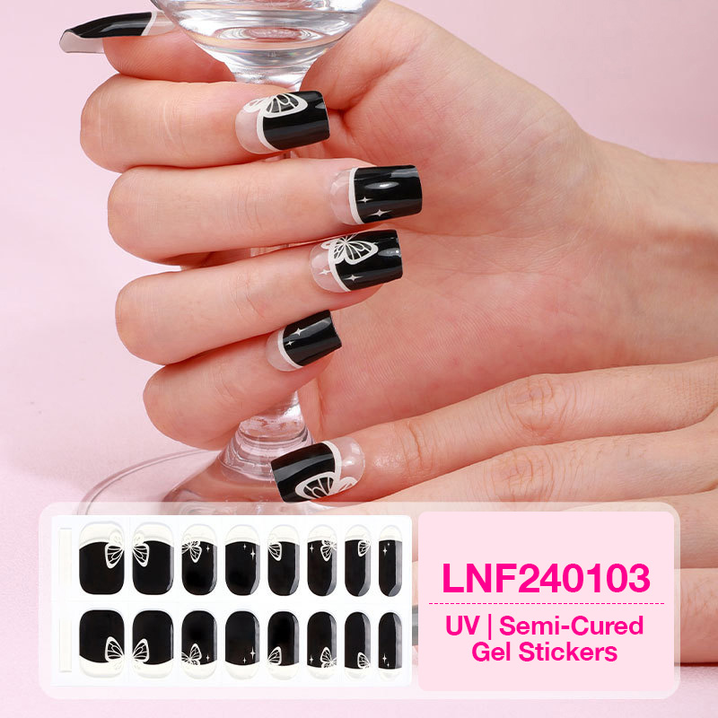 LNF240103