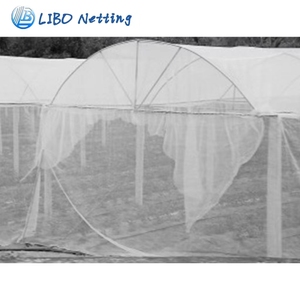 Green Fine <strong>Mesh</strong> Insect Protection <strong>Net</strong> for Fruits and Vegetables Garden Pest Control Use Anti Insect Netting