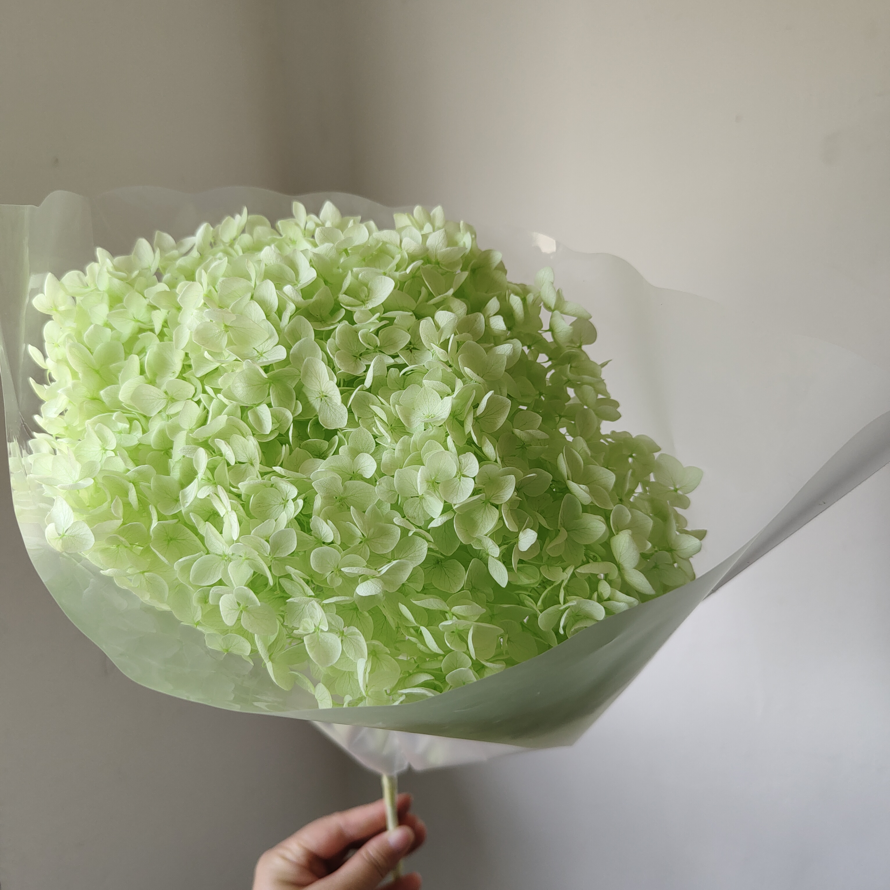 Vert pois