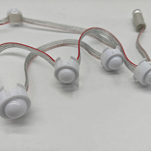 2cm DMX512 <span class=keywords><strong>LED</strong></span> <span class=keywords><strong>Pixel</strong></span> đèn tại chỗ Trắng Đỏ Xanh chuyên dụng thẻ lỗ PC cơ thể IP67 DC 12V Bảo hành 2 năm chiếu sáng cảnh quan - Product Image 5